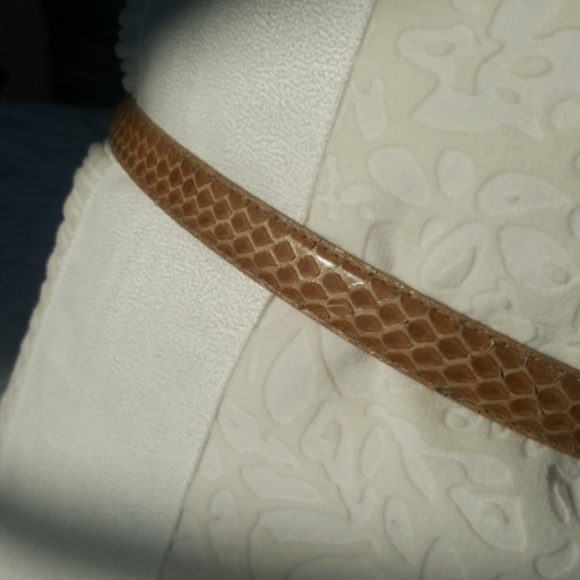 VINTAGE ♡ Gorgeous Beige Genuine Snake Skin Leather Belt with Gold Hardware M f main image 5